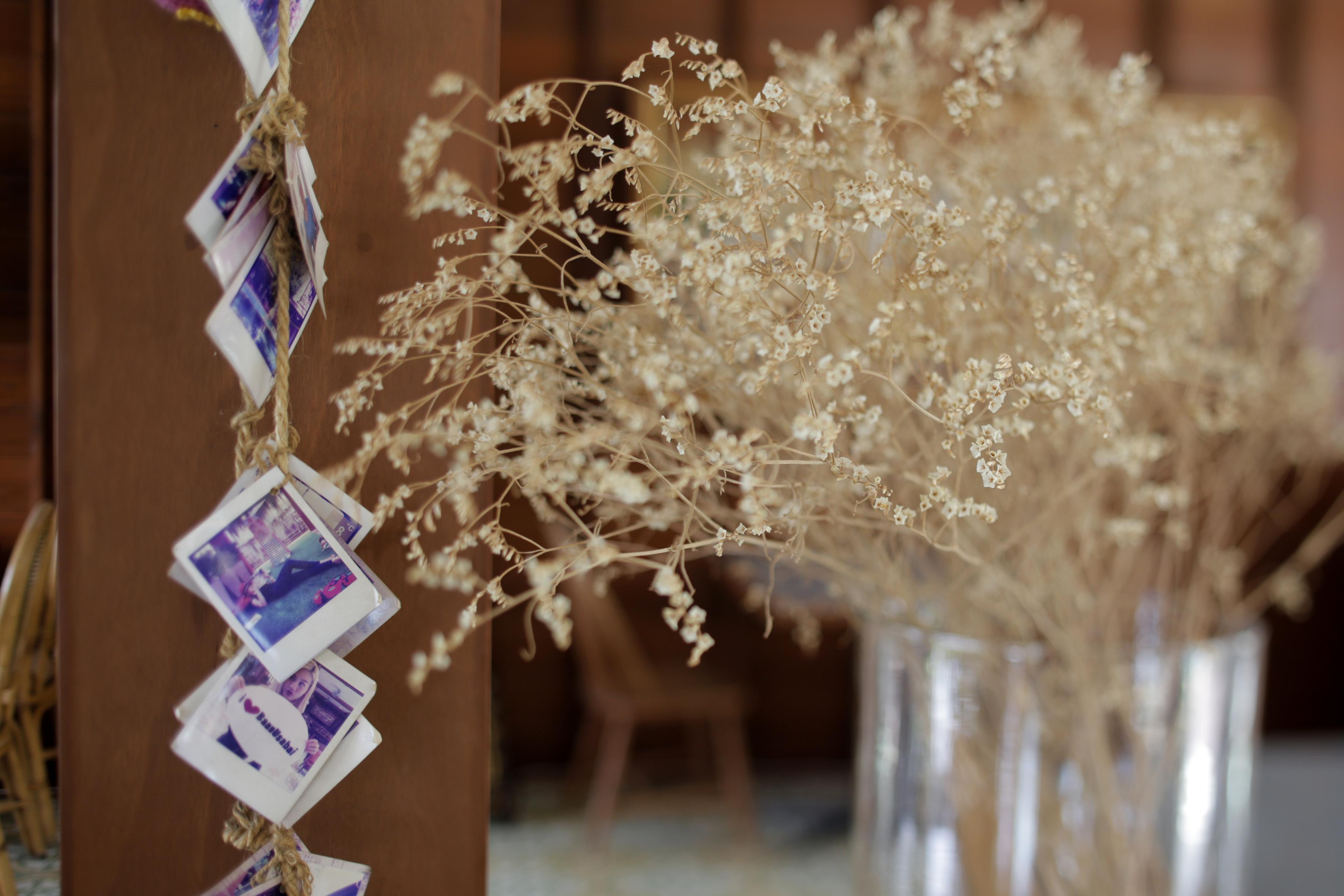 Baan U Sabai Boutique House-Sha Plus Chiang Mai Eksteriør billede